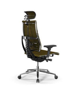 Y 4DT L2-12D - GoyaLE /Kc31/Nc31/D04P/H13mV-3D(M26.B32.G25.W03) (Оливковый), изображение 2