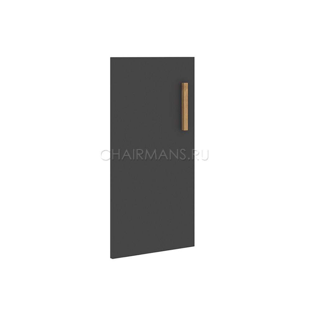 Кликните для увеличения изображения Дверь Skyland FORTA FLD 40-1(L) черный графит
