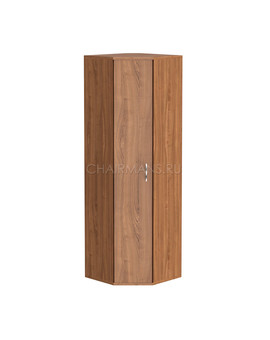 Стеллаж угловой с дверью Skyland IMAGO СТ-1.10 орех, изображение 1