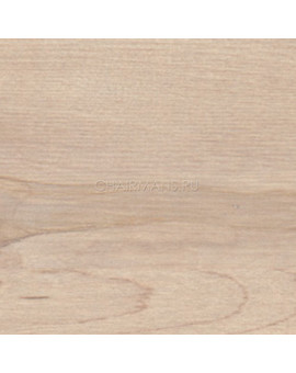 Дверь низкая Skyland XTEN XLD 42-1 (R) береза норд, изображение 3